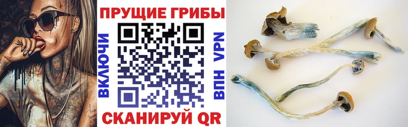 Галлюциногенные грибы Cubensis  Приозерск 