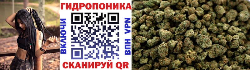 Шишки марихуана марихуана  OMG ссылка  Приозерск 
